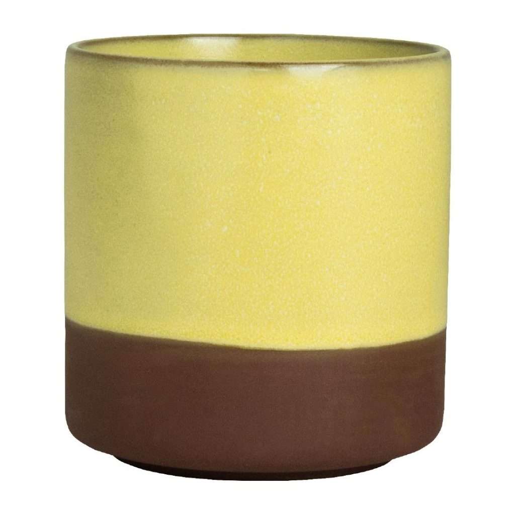 Maham Studio Spice Saffron Cup 240ml (Pack of 12)