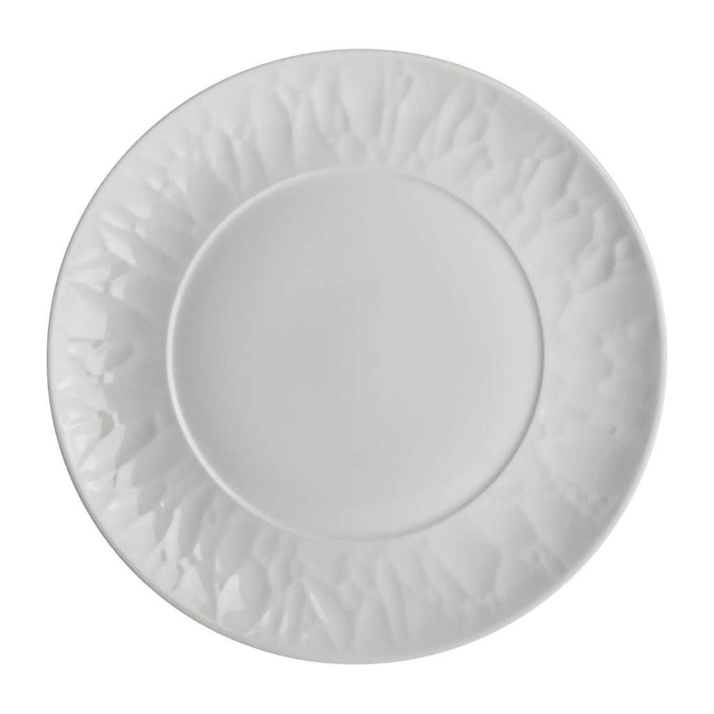 Steelite Atelier Plates 270mm (Pack of 12)