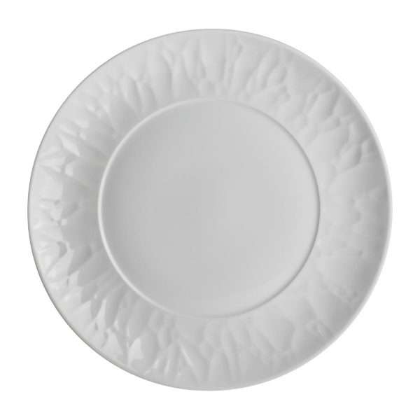 Steelite Atelier Plates 270mm (Pack of 12)