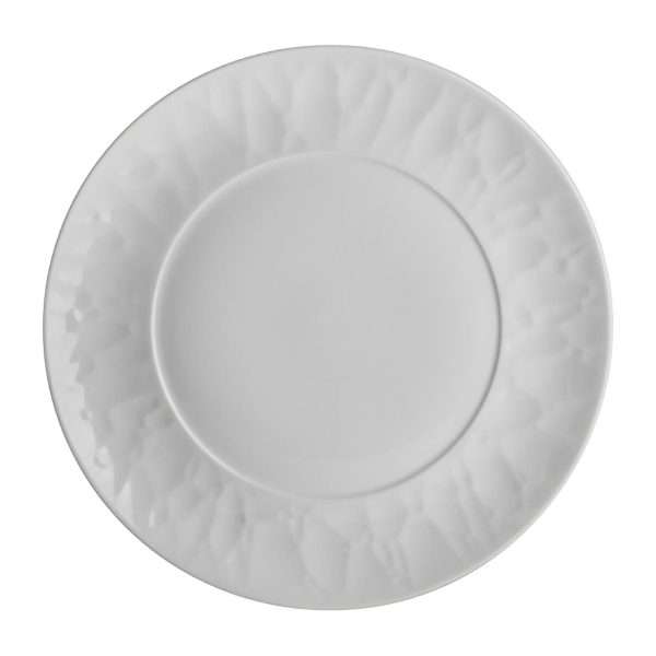 Steelite Atelier Plates 241mm (Pack of 24)