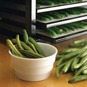 Excalibur 9 Tray Black Dehydrator with Timer 4926TB