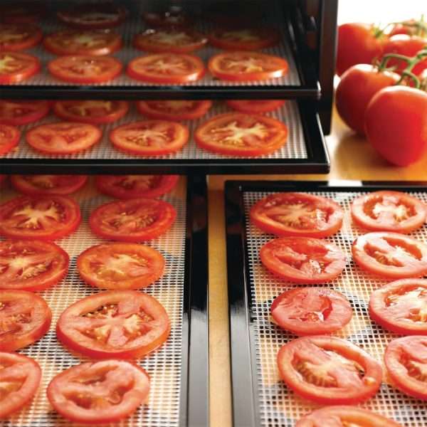 Excalibur 9 Tray Black Dehydrator with Timer 4926TB
