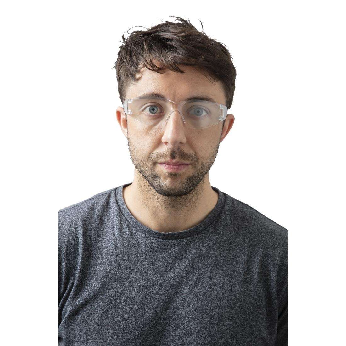 df136_6 Wraparound Safety Glasses