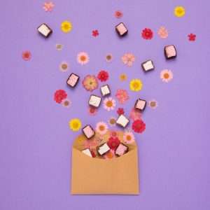 Mallow & Marsh Marshmallow Raspberry & Dark Chocolate Bars 35g (Pack of 12)