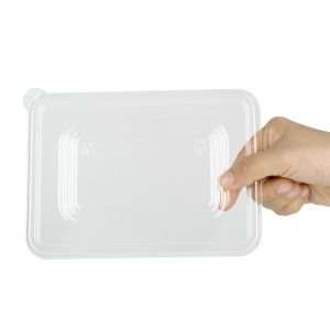 Fiesta Recyclable PET Lids for Bagasse Container Bases (Pack of 100)