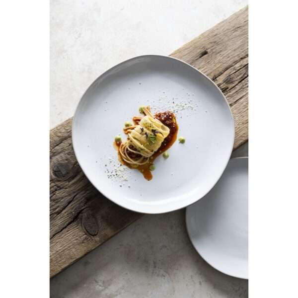 Olympia Raw Recycled Clay Natural Coupe Plates 260mm (Pack of 6)