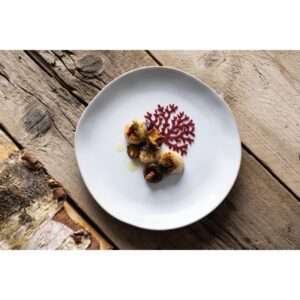 Olympia Raw Recycled Clay Natural Coupe Plates 220mm (Pack of 6)