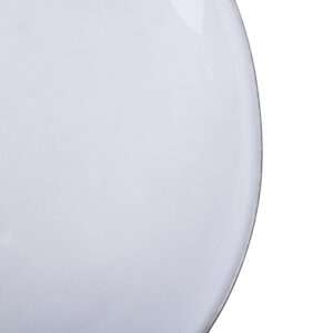 Olympia Raw Recycled Clay Charcoal Coupe Plates 260mm (Pack of 6)