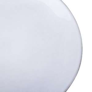 Olympia Raw Recycled Clay Charcoal Coupe Plates 220mm (Pack of 6)