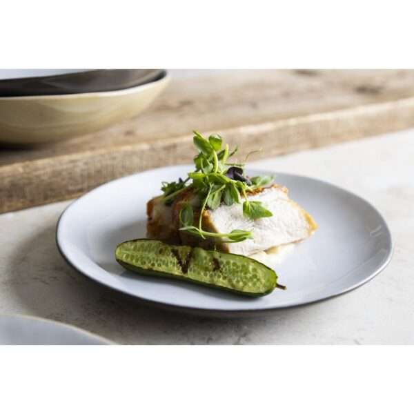 Olympia Raw Recycled Clay Charcoal Coupe Plates 220mm (Pack of 6)