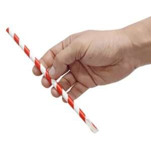 Fiesta Compostable Paper Spoon Straw Red & White Stripe 210x8mm (250 Pack)