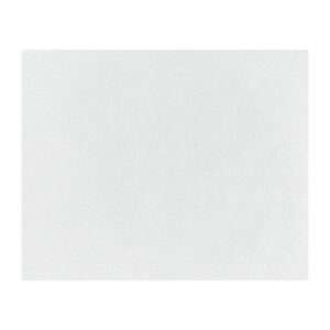 Fiesta Compostable Burger Wraps White 250x200mm (200 Pack)