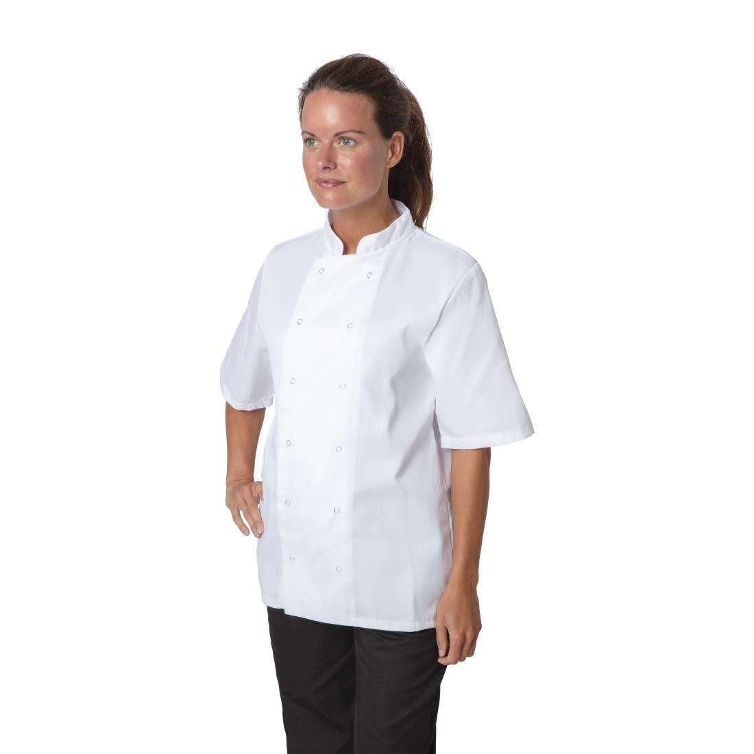 b250_chefjacket6 b250 chefjacket6