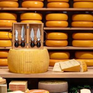 Boska Cheesemongers Parm Set Pro 8 jk416 npi25 9