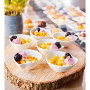 Arcoroc Appetizer Small Bowls White 100mm (24 Pack) 4 jk524 npi25 4