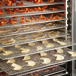 Buffalo 10 Tray Dehydrator 5 jk756 upd25 5