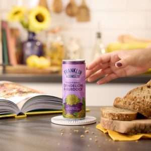 Franklin & Sons Traditional Dandelion & Burdock Cans 250ml (12 Pack) 2 ka847 npi26 1