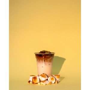 Simply Twist Toasted Syrup 485ml 4 ka856 npi26 4
