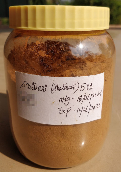 Buy Shatavari Extract Online