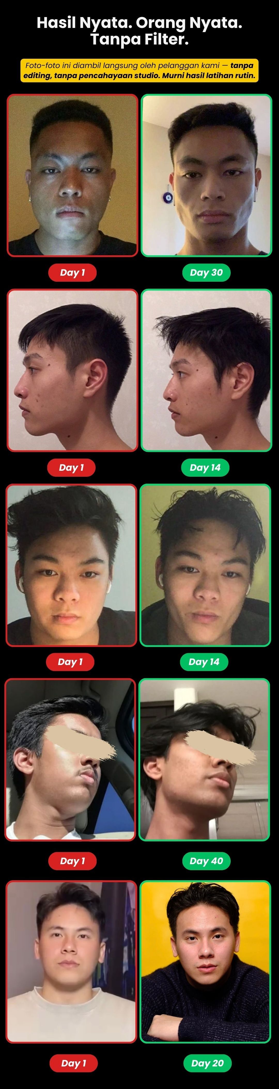 Alphvibe Pack 2