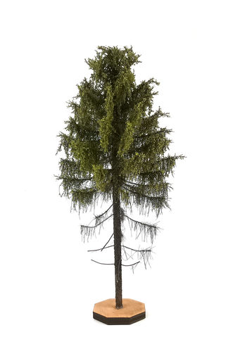 Forest Larch Tree Model 14-16 cm