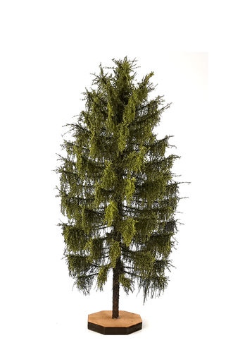 Larch Tree Model 14-16 cm