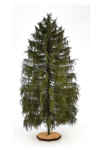 Larch Tree Model 26-28 cm