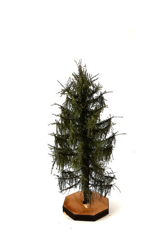 Larch Tree Model 9-11 cm