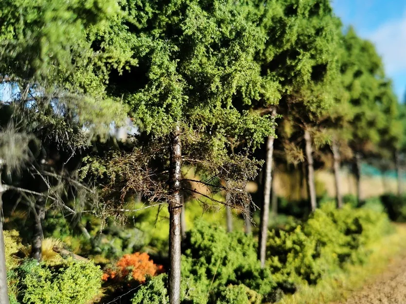 Realistic model trees by Primo Models