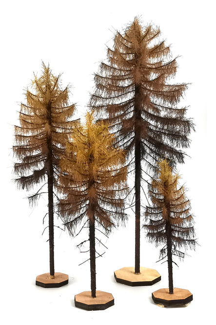 Dry Larch Model Trees