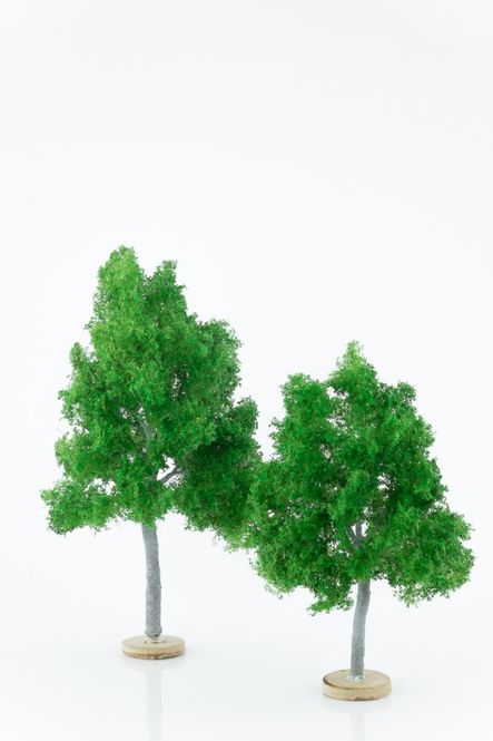 Maple Model Trees