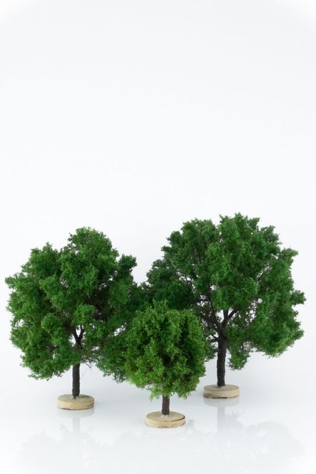 Oak Model Trees