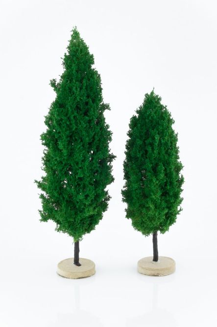 Poplar Model Trees