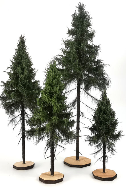 Forest Spruce Model Trees