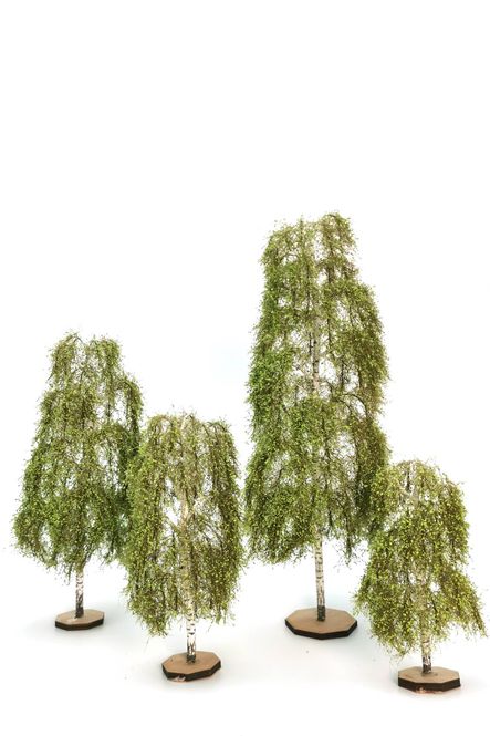 Birch Model Trees