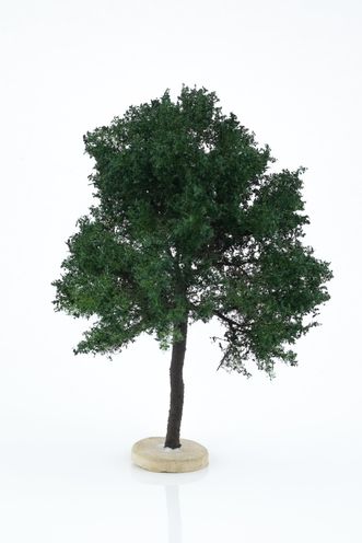 Chestnut Tree Model 14-16 cm