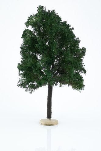 Chestnut Tree Model 18-20 cm