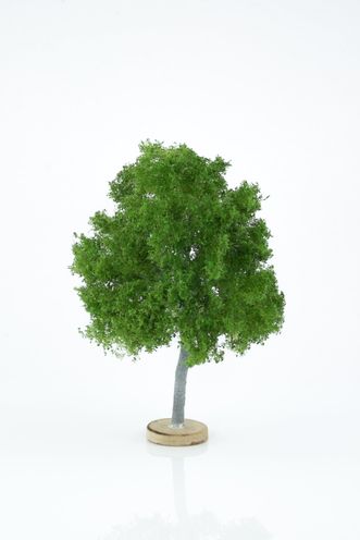 Maple Tree Model 14-16 cm