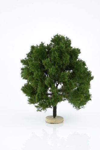 Oak Tree Model 12-16 cm