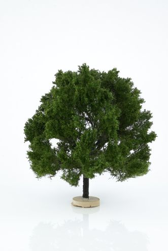 Oak Tree Model 14-17 cm