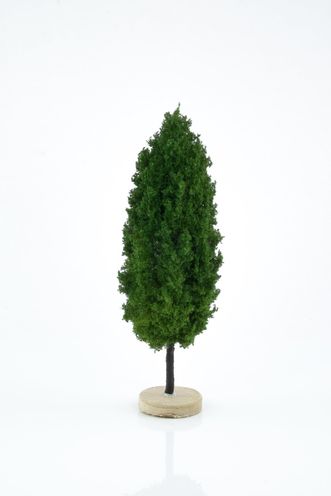 Poplar Tree Model 14-16 cm