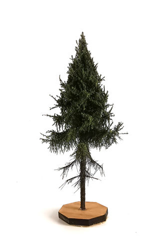 Forest Spruce Tree Model 9-11 cm