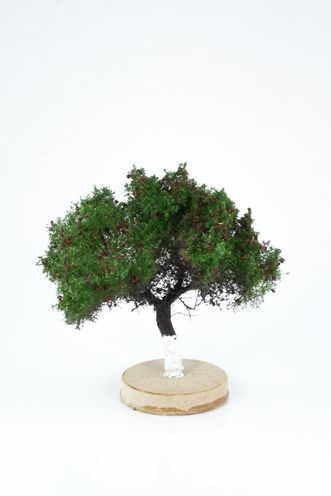 Apple Tree Model 6-8 cm