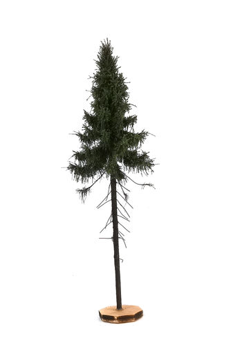 Forest Spruce Tree Model 20-22 cm