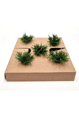 Regular Green Model Bushes 5-Pack