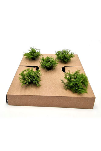 Regular Light Green Model Bushes 5-Pack