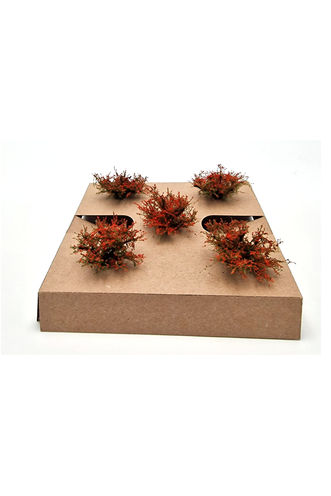 Regular Red Model Bushes 5-Pack