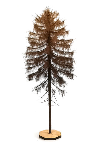 Dry Larch Tree Model 26-28 cm