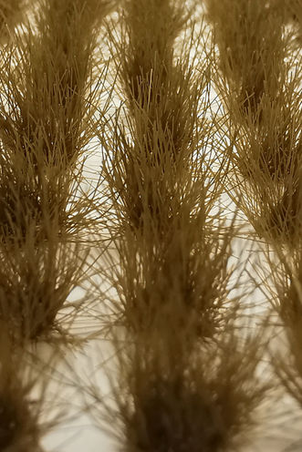 Model Grass Clumps – 12mm Brown