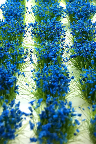 Model Flowers - Blue
